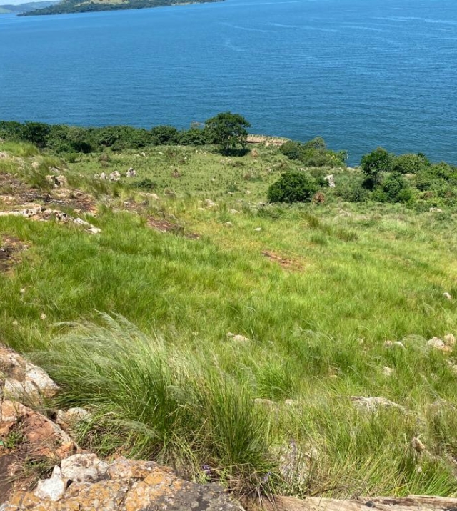 WhatsApp Image 2024-07-15 at 4.02.04 PM 1.jpeg